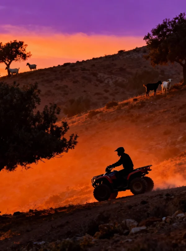 Sunset Desert Adventure